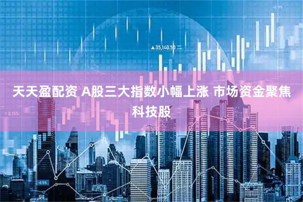 天天盈配资 A股三大指数小幅上涨 市场资金聚焦科技股