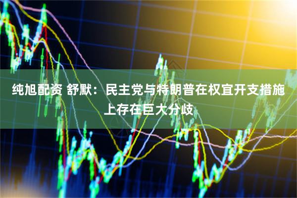 纯旭配资 舒默：民主党与特朗普在权宜开支措施上存在巨大分歧