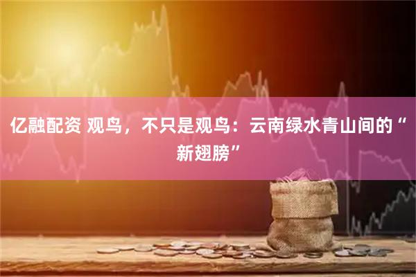 亿融配资 观鸟，不只是观鸟：云南绿水青山间的“新翅膀”
