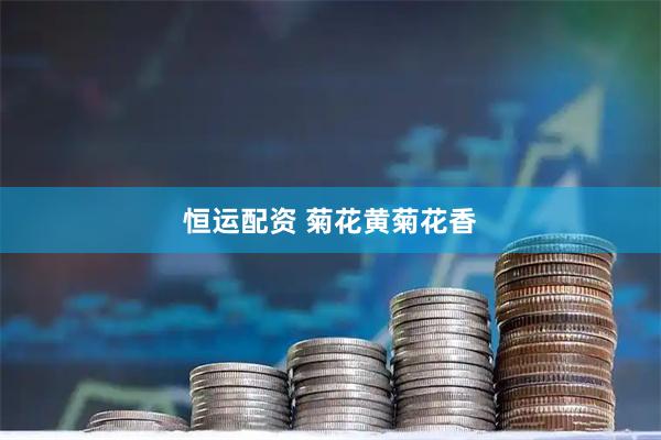 恒运配资 菊花黄菊花香