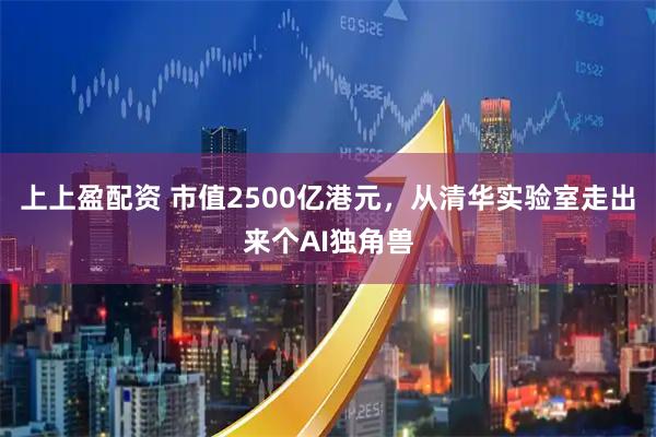 上上盈配资 市值2500亿港元，从清华实验室走出来个AI独角兽